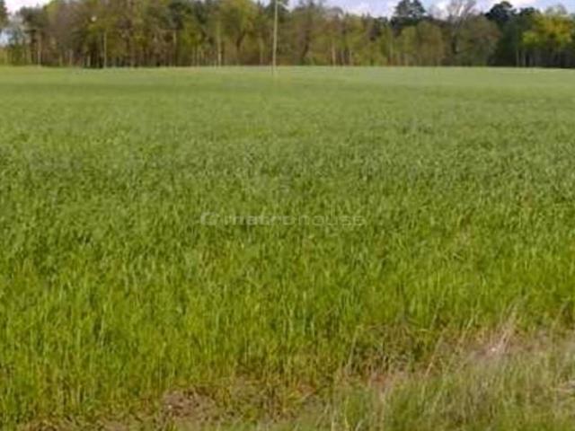 Działka 1 180 m², Rybno Wielkie