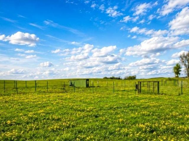 Działka 1 182 m², Zboże
