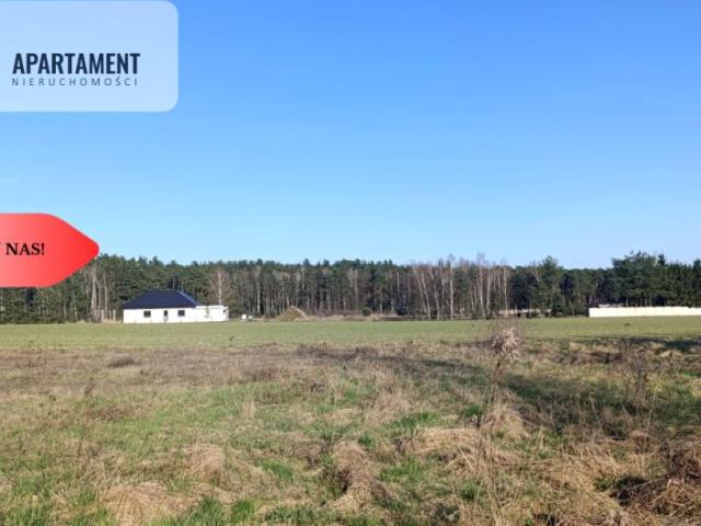 Działka 1 196 m², Wszewilki