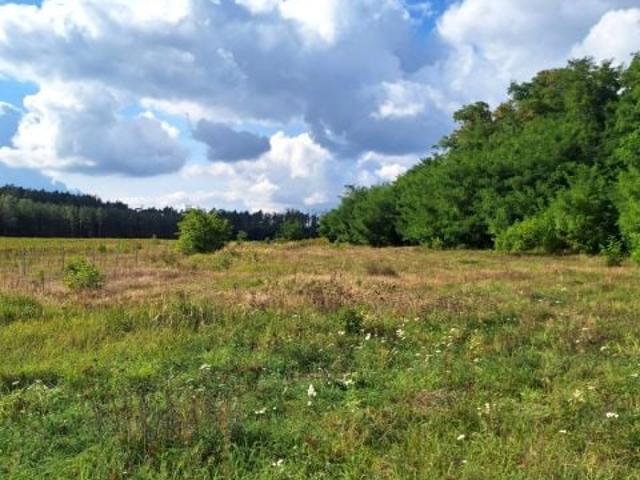 Działka 1 192 m², Domanice