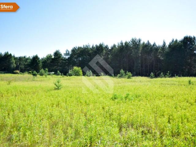 Działka 1 192 m², Wałdowo Królewskie