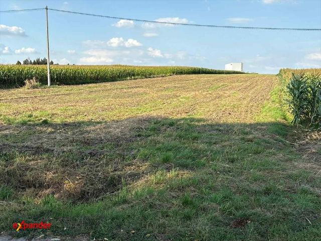 Działka 1,19 ha z mediami, blisko zalewu Szałe