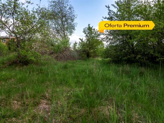 Działka 1 204 m², Henrykowo