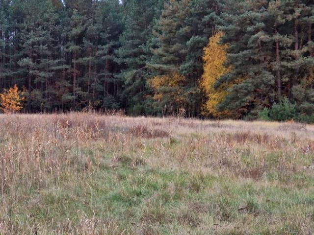 Działka 1 200 m², Cegielnik