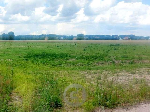 Działka 1 200 m², Dziersławice