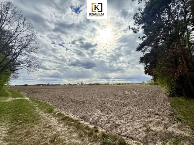 Działka 1 000 m², Kamionka