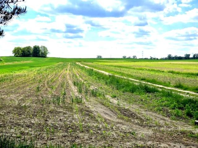 Działka 800 m², Mechnice