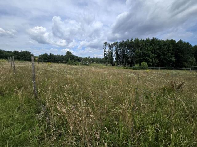 Działka 1 200 m², Nowe Polaszki