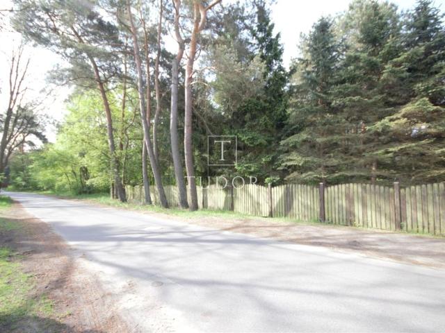 Fiołkowa 1 200 m², Szczecin