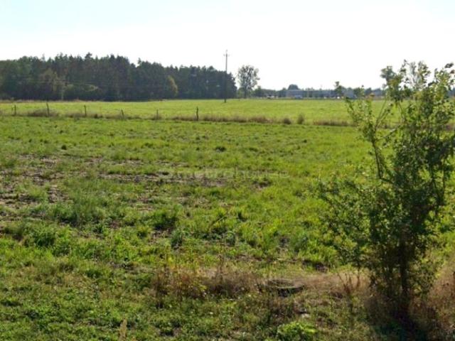 Działka 1 202 m², Złotkowo