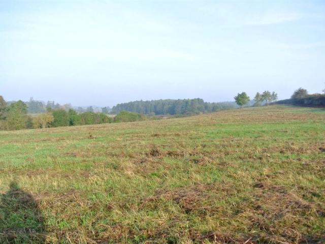 Działka 1 230 m², Sobków
