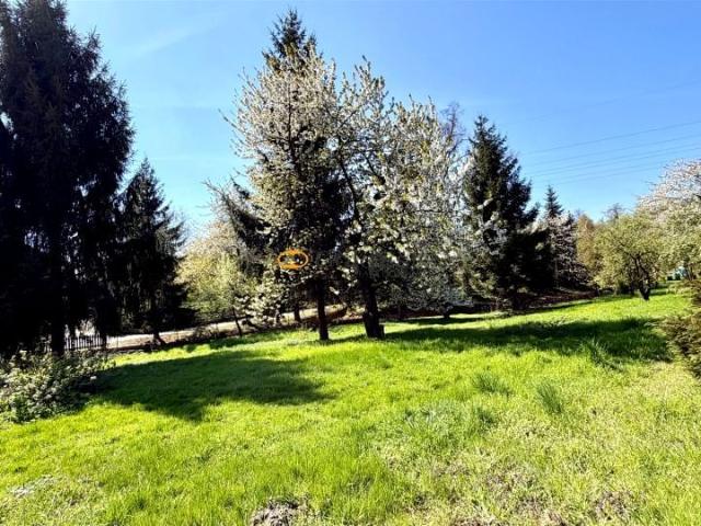 Działka 1 244 m², Witoszów Dolny