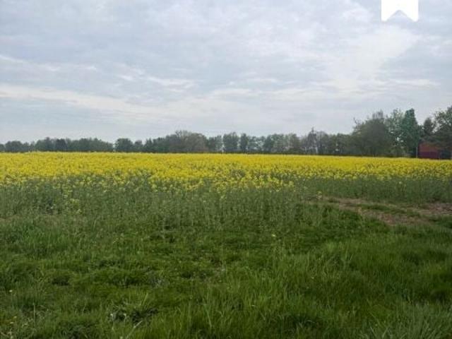 Działka 1 248 m², Ołużna