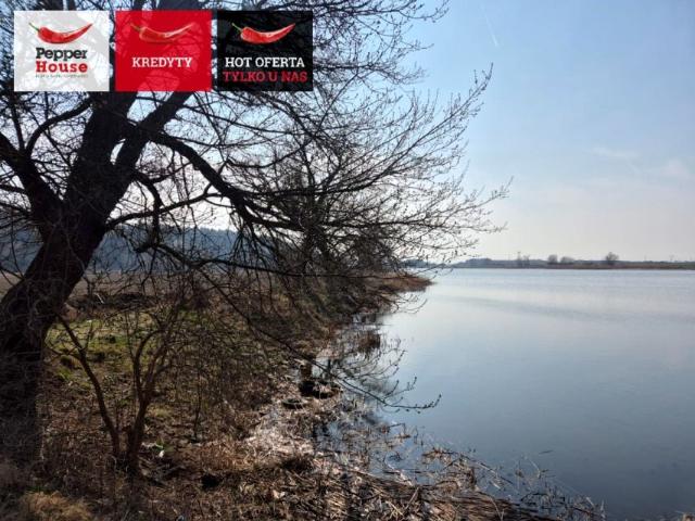 Działka 1 240 m², Wielbark