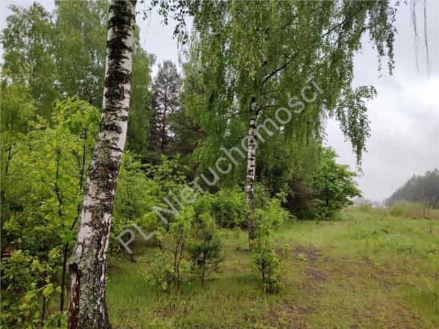 Działka 1 243 m², Wycinki Osowskie