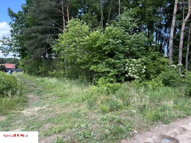 Działka 1 258 m², Radziejowice