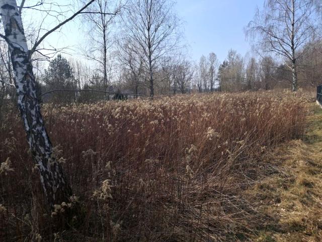 Działka 1 250 m², Góraszka