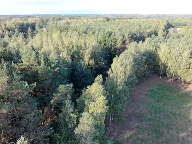Działka 1 100 m², Korzeniówka