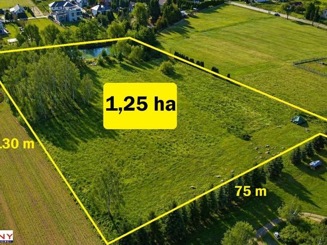 Działka 1,25 ha z stawem i mediami, pod zabudowę