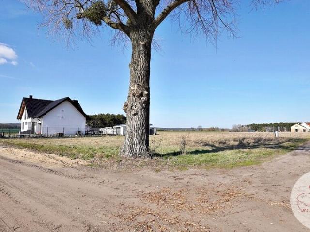 Działka 1 264 m², Borkowice