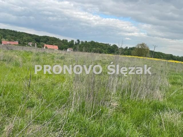 Działka 1,26 ha z potencjałem zabudowy, cisza i blisko natury