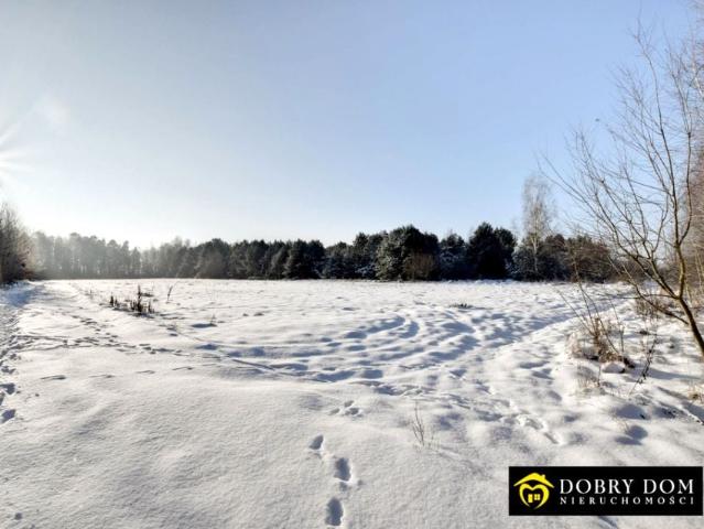 Działka 1 280 m², Henrykowo