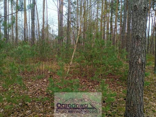 Działka 1 280 m², Wilcza Góra
