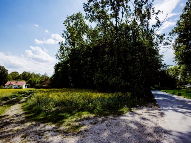 Działka 1 290 m², Kępa Borzechowska