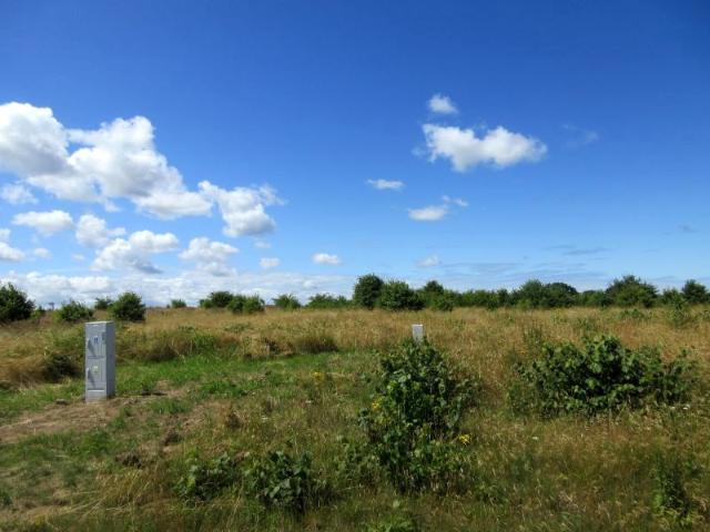 Działka 1 309 m², Lędzin