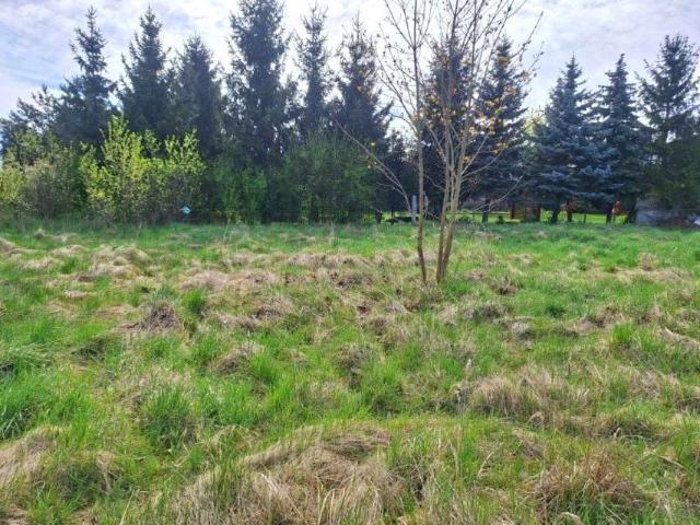 Działka 1 300 m², Bystrzyca