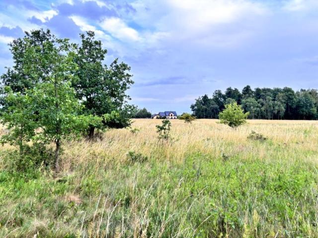 Działka 1 300 m², Grzymalin