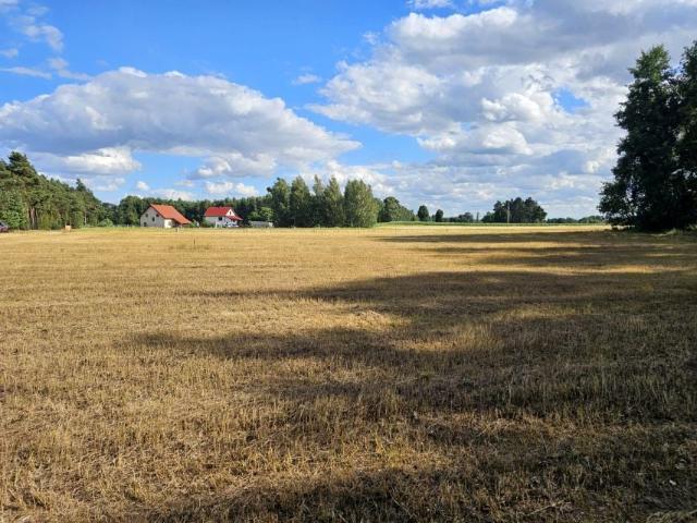 Działka 1 300 m², Kościelec