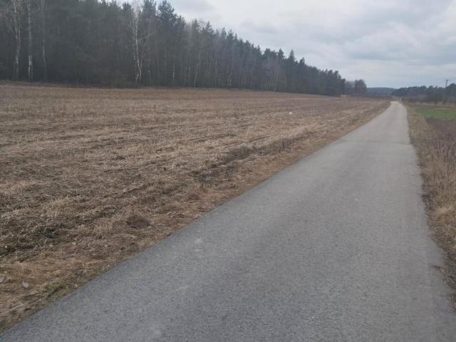 Działka 1 300 m², Lesiew