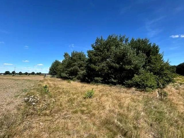 Działka 1 300 m², Serock