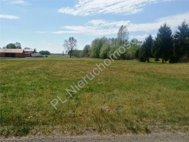 Działka 1 300 m², Wólka Wybraniecka