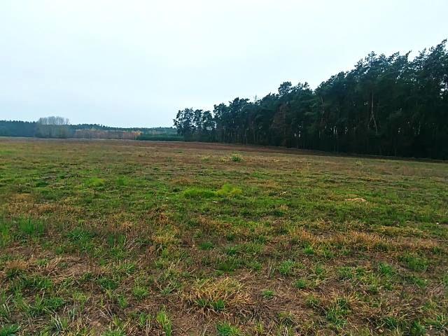Działka 1 300 m², Teofilówka