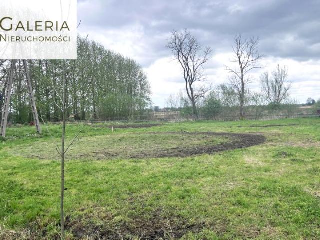 Kwiatowa 1 300 m², Żurawiec