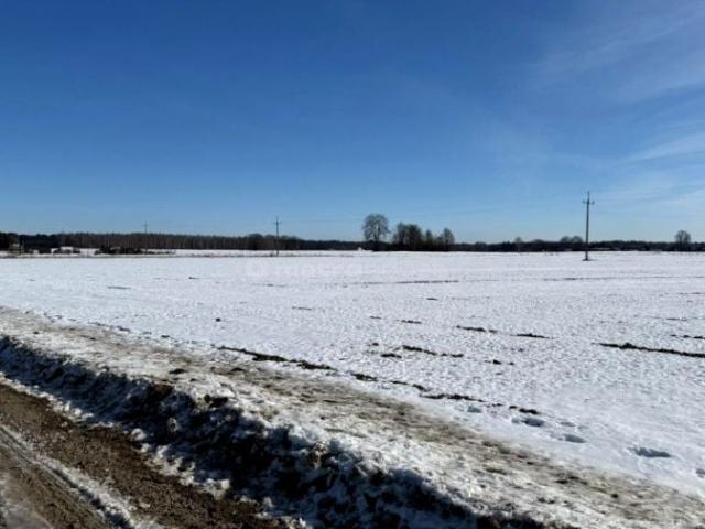 Działka 1 302 m², Wilczyn