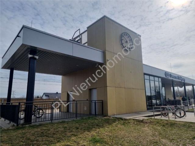 Działka 1 303 m², Dobczyn
