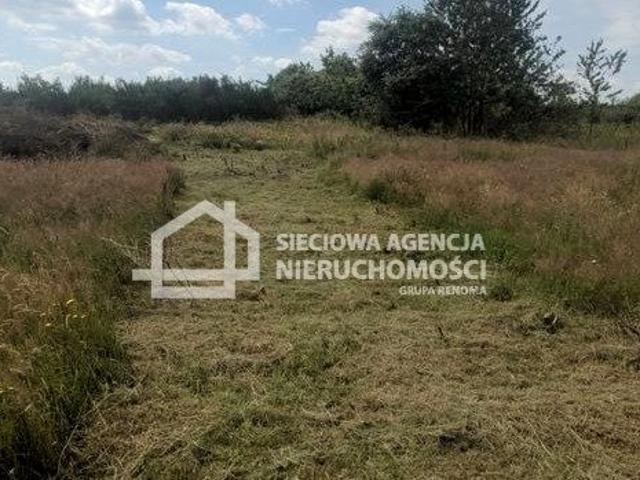 Działka 1 313 m², Mierzyno