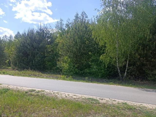 Działka 1 329 m², Matyldów