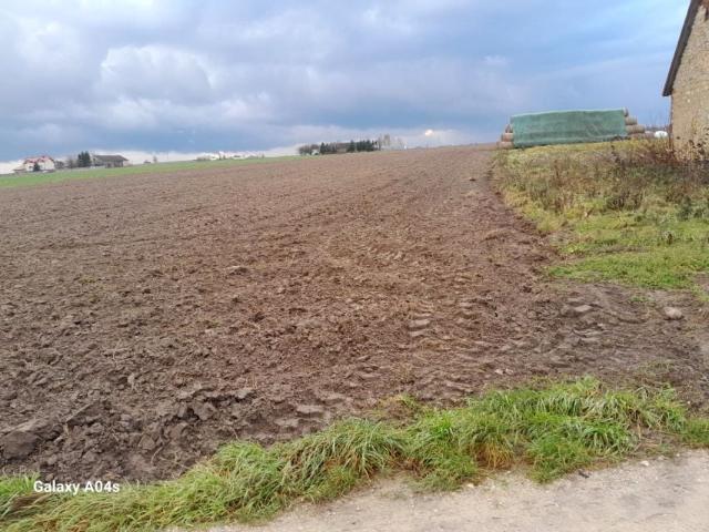 Działka 1 500 m², Kodrąb