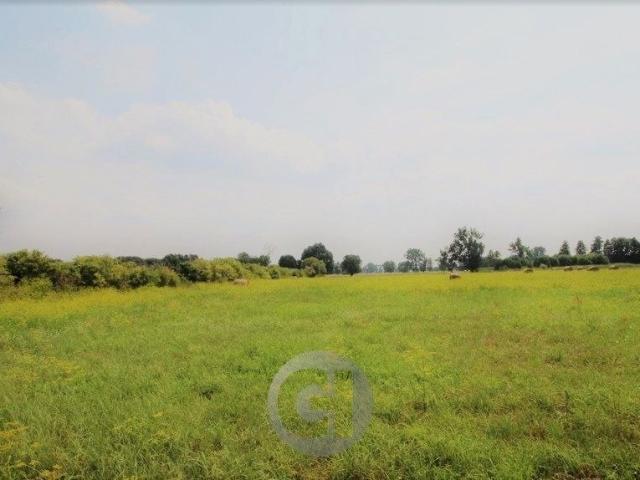 Działka 1 341 m², Prądocin