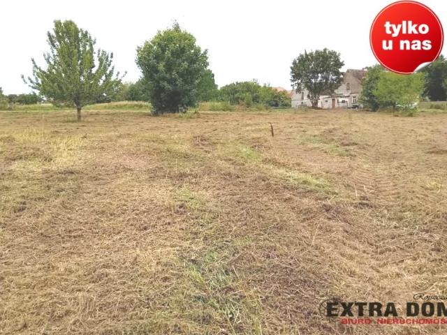 Działka 1 356 m², Jenikowo