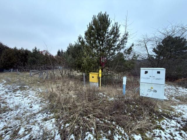 Myśliwska 1 356 m², Rurzyca