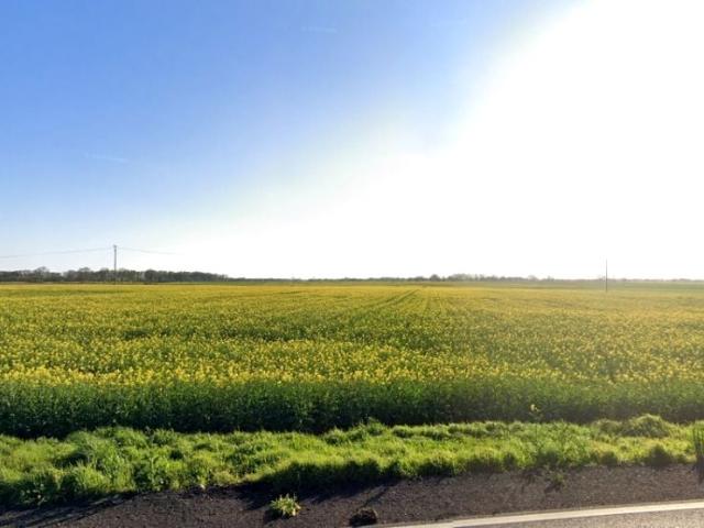 Działka 1 359 m², Maszewo