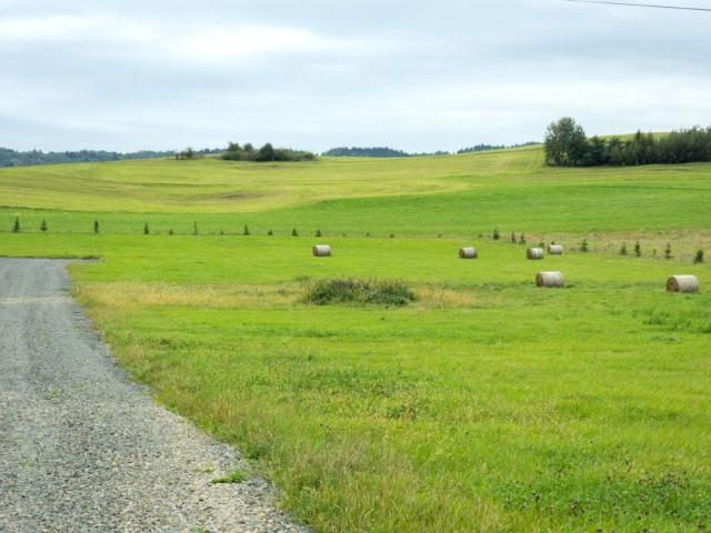 Działka 1 359 m², Wola Łużańska