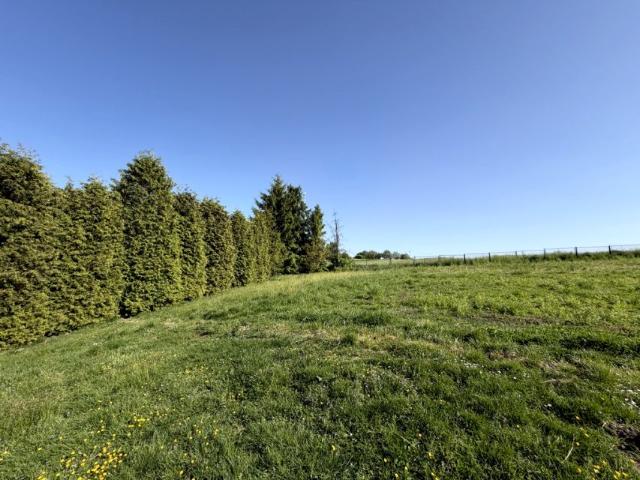 Działka 1 350 m², Miękinia