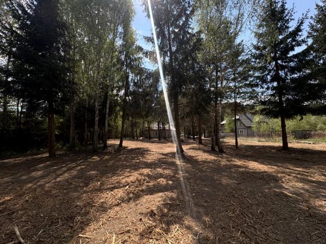 Działka 1 350 m², Zalesie Górne