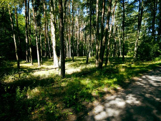 Działka 1 352 m², Księstwo